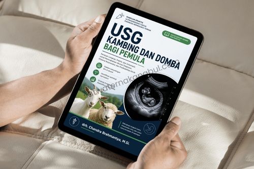 jual ebook usg kambing dan domba