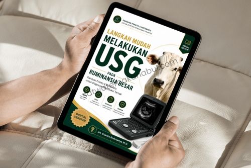 jual ebook usg ruminansia besar